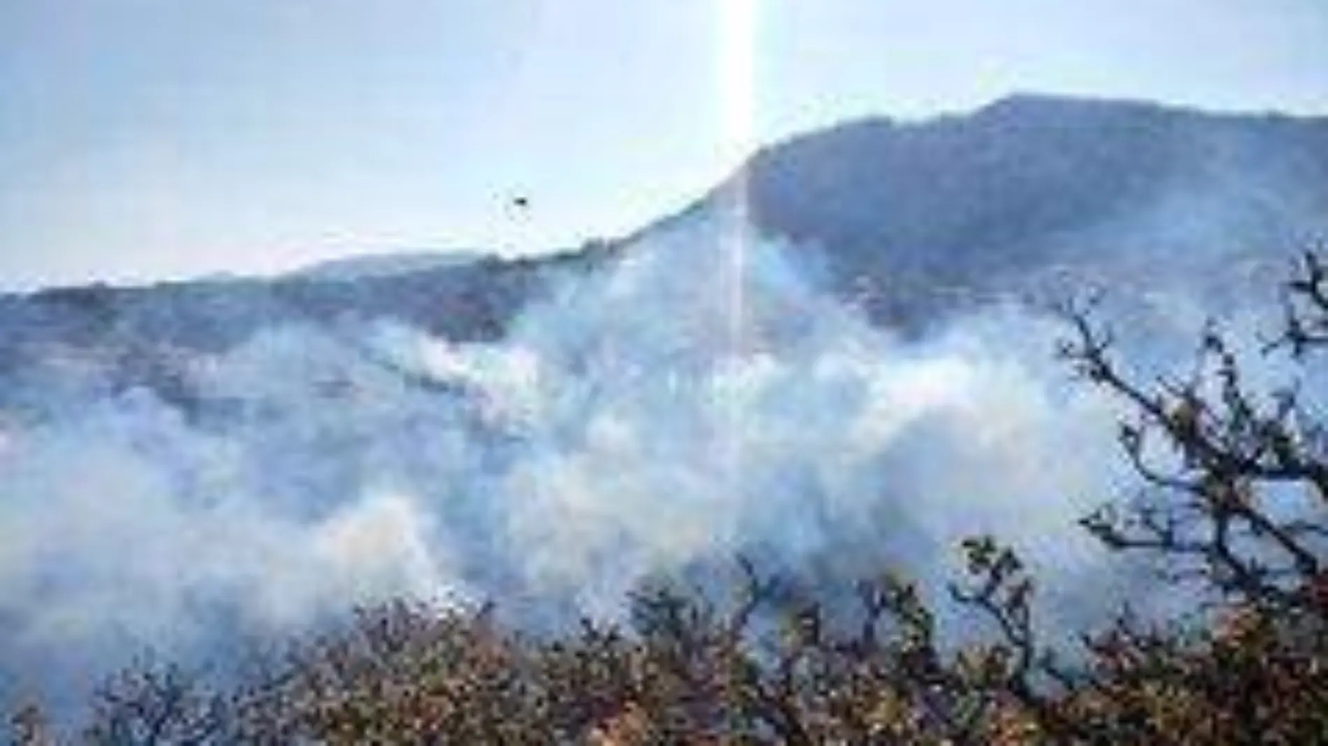 incendio forestal zapopan